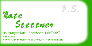 mate stettner business card